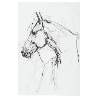 Elegant Horse Portrait Sketch - Premium Metal Print