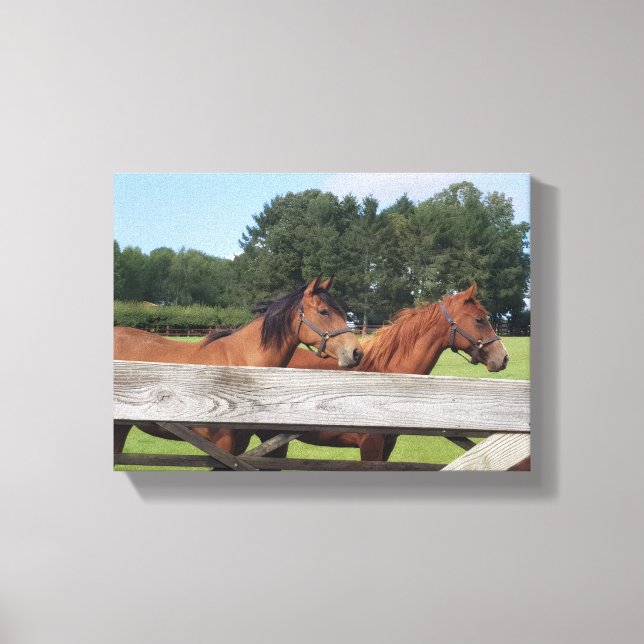 Elegant Horses in Nature Canvas Print (Front)