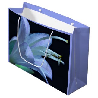 Elegant Hosta Flower, Lilac Blue All-Occasion