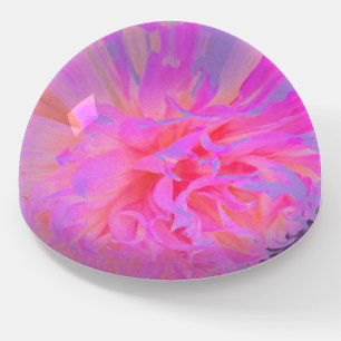 Elegant Hot Pink and Magenta Decorative Dahlia Paperweight