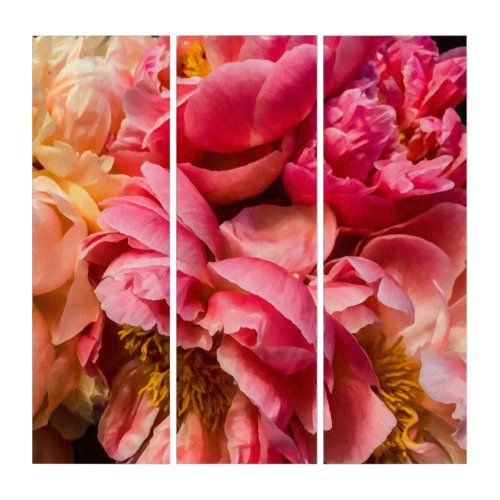 Elegant Hot Pink and Peach Peonies Triptych