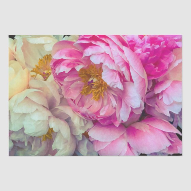 Elegant Hot Pink & Cream Peonies Tissue Paper (Front)