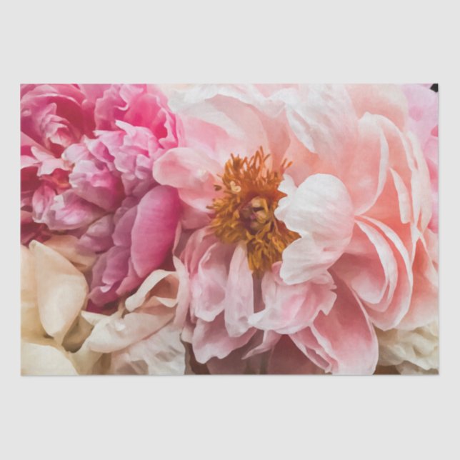 Elegant Hot Pink & Cream Peonies Tissue Paper (Front)