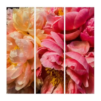 Elegant Hot Pink, Peach and Yellow Peonies Triptych