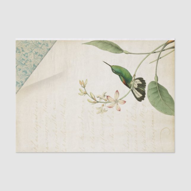 Elegant Hummingbird Ephemera Tissue Paper (Front)