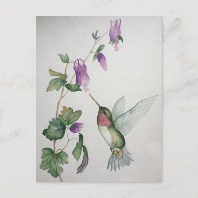 Elegant Hummingbird Garden Watercolor Postcard (Front)