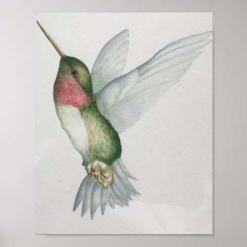 Elegant Hummingbird Watercolor Poster