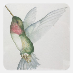 Elegant Hummingbird Wings Watercolor Stickers