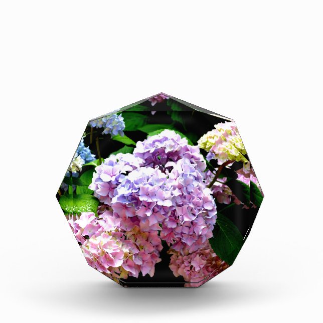 Elegant hydrangea gardens pink purple blue floral award (Front)