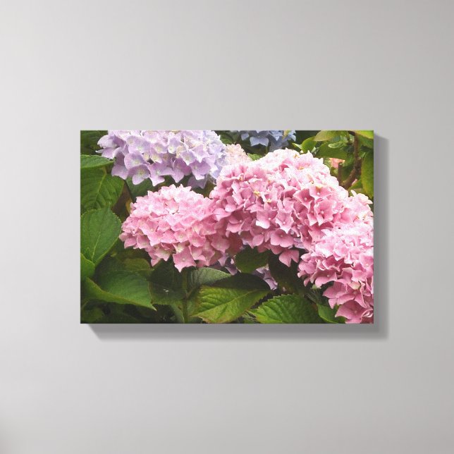 Elegant Hydrangeas Canvas Print (Front)