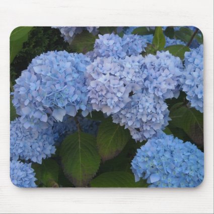 Elegant Hydrangeas Mouse Pad