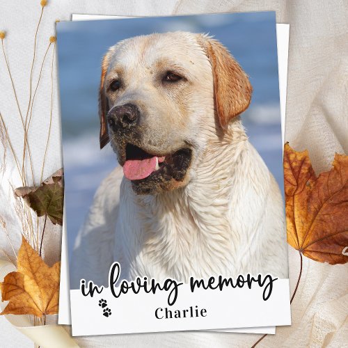 Elegant In Loving Memory Dog Pet Memorial Photo Thank You Card