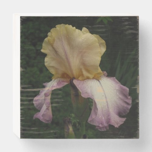 Elegant Iris Floral Photography  Wooden Box Sign