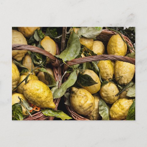 Elegant Italian Lemon Basket Amalfi Coast Lemons Postcard