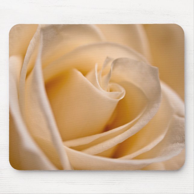 Elegant Ivory Rose Mouse Pad (Front)