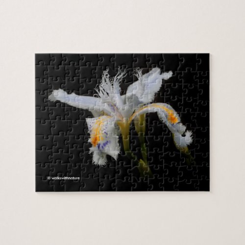 Elegant Japanese Crested Iris White Flowers Jigsaw Puzzle