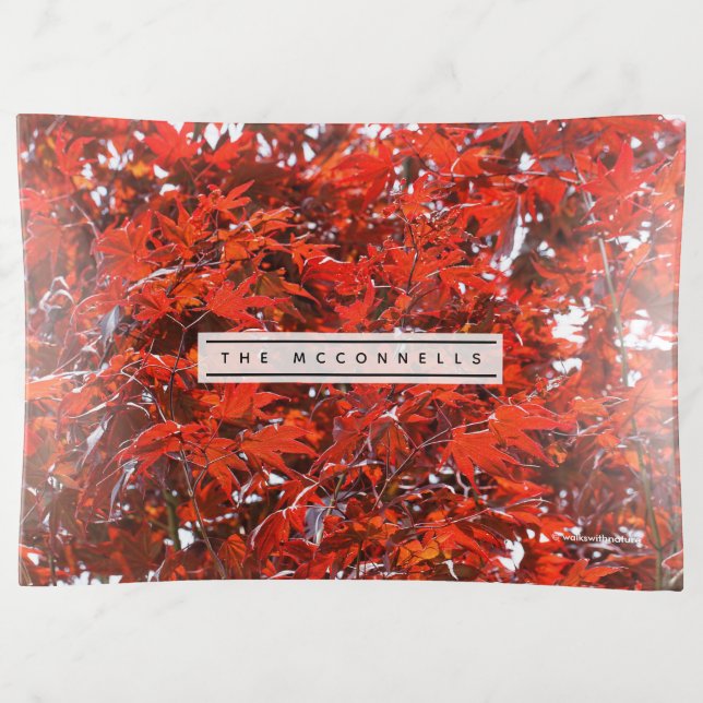 Elegant Japanese Red Maple Tree Leaves Trinket Tray (Front)