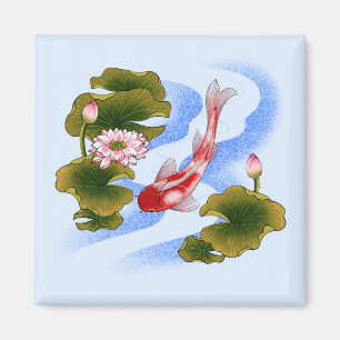 Elegant koi carp in lotus pond  magnet