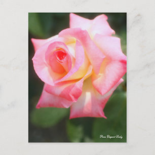 Elegant Lady Postcard