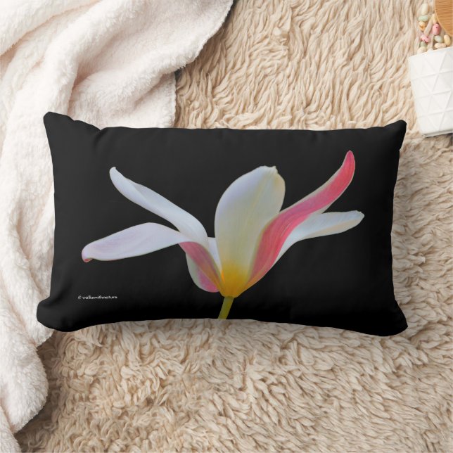 Elegant Lady Tulip White Pink Flowers Lumbar Pillow (Blanket)