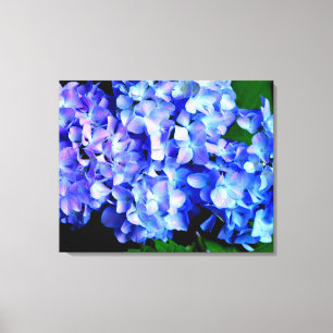 Elegant light purple blue magenta floral hydrangea canvas print