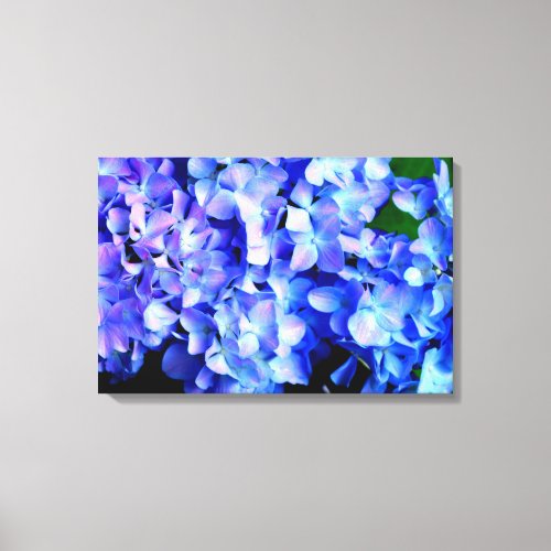 Elegant light purple blue magenta floral hydrangea canvas print