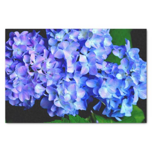 Elegant light purple blue magenta floral hydrangea tissue paper