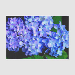 Elegant light purple blue magenta floral hydrangea tissue paper