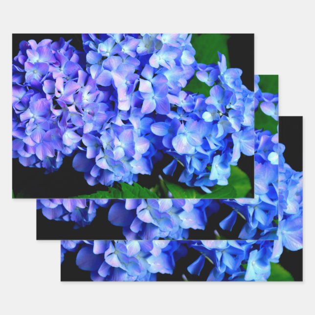 Elegant light purple blue magenta floral hydrangea wrapping paper sheets (Set)
