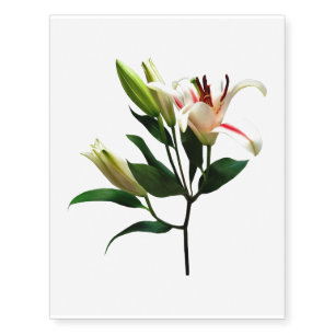 Elegant Lily and Buds Temporary Tattoos