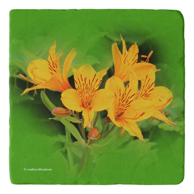 Elegant Lily of the Incas / Yellow Alstroemeria Trivet (Front)