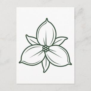 elegant linear trillium flower design postcard
