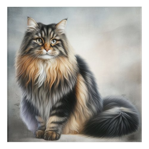 Elegant Long Haired Cat Acrylic Print