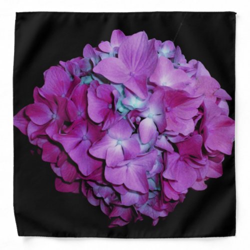 Elegant Magenta teal pink floral hydrangea Bandana