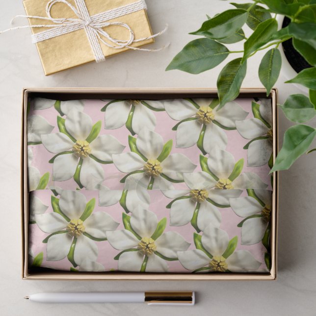 Elegant Magnolia Blossom Flower Pink White Wedding Tissue Paper (Gift)
