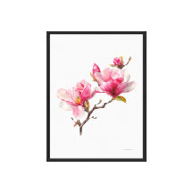 Elegant Magnolia Blossom Stretched Canvas Print