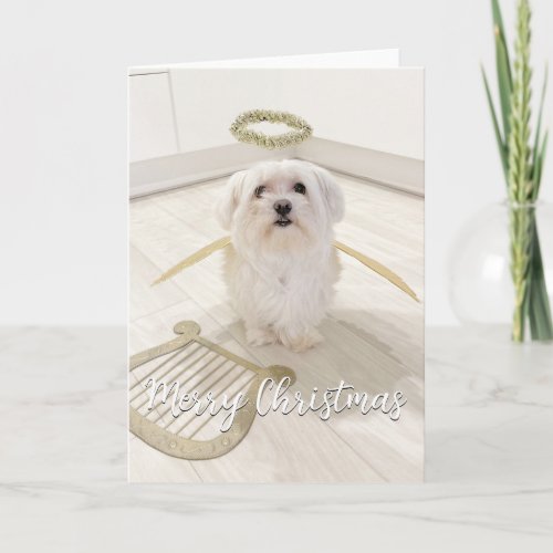 Elegant Maltese Dog Angel Christmas Card