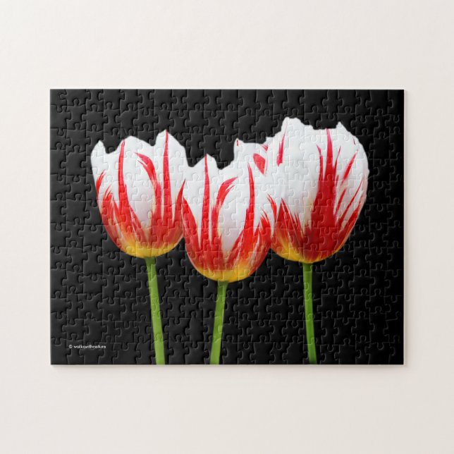 Elegant Maple Leaf Tulips Jigsaw Puzzle (Horizontal)