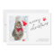 Elegant Meowy Christmas Cat Photo Christmas 