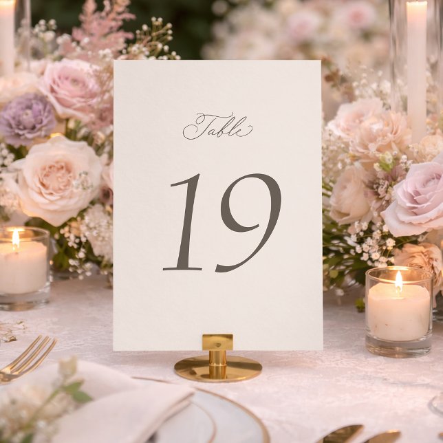 Elegant Minimal Wedding Table Numbers 1–19 (Creator Uploaded)
