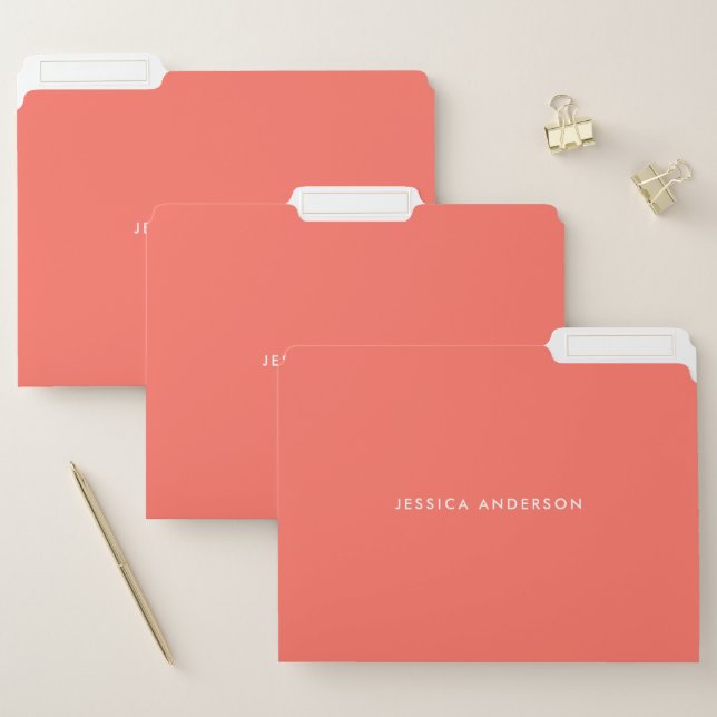 Elegant Minimalist Coral White Name File Folder (Set)