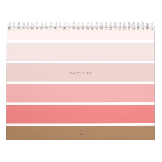 Elegant Minimalist Pink Stripes  Calendar (Cover)