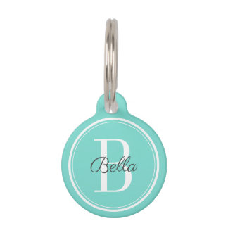 Elegant Mint Monogram Pet ID Tag