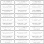 Elegant Modern Chic Wedding Guest Names Address Sticker<br><div class="desc">Composed of simple sans serif and modern serif typography. These elements are simple,  elegant,  and modern. This has 30 stickers. 
 
 This is designed by White Paper Birch Co. exclusive for Zazzle.
 
 Available here:
 http://www.zazzle.com/store/whitepaperbirch</div>