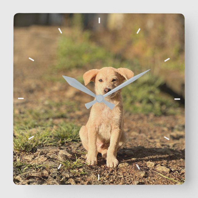 Elegant Modern Custom Wall Clock Add Your Own  (Front)