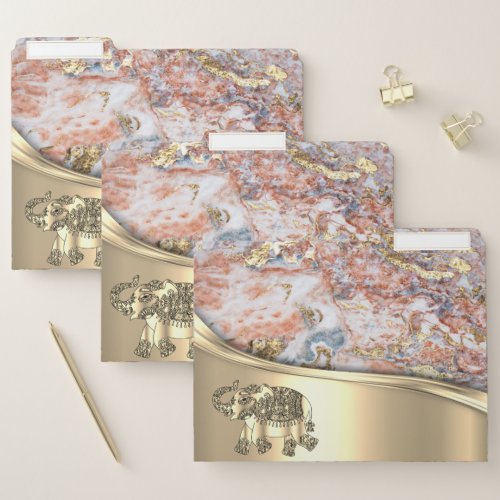 Elegant Modern Gold Elephant Ombre Marble Texture File Folder