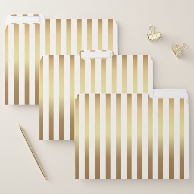 Elegant modern golden lines file folder (Set)