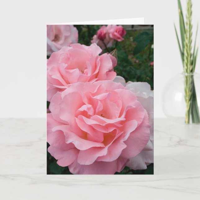 Elegant Modern Pink Roses Flowers Photo Get Well Card (Front)