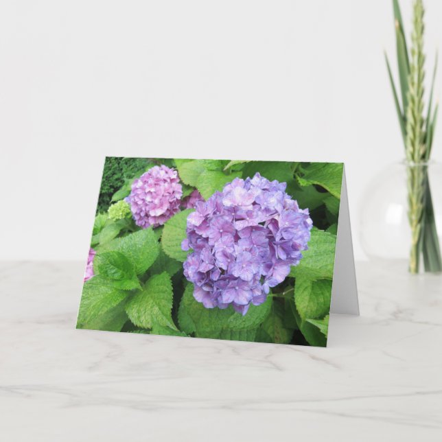 Elegant Modern Purple Hydrangeas Photo Sympathy Card (Front)