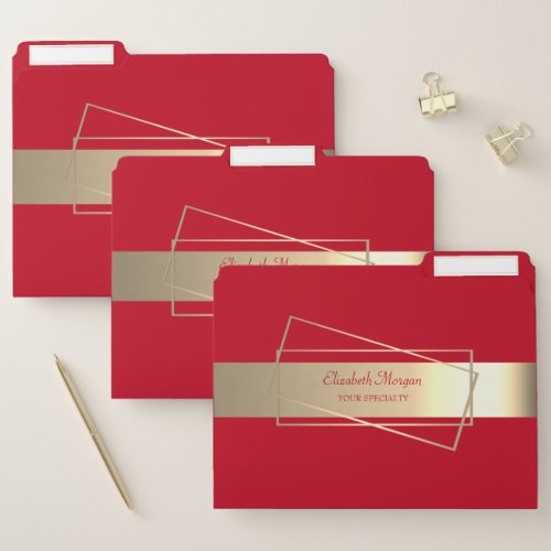 Elegant Modern Red Gold Frame Stripe File Folder